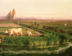 عرض Carditello بواسطة فيليبو باليزي